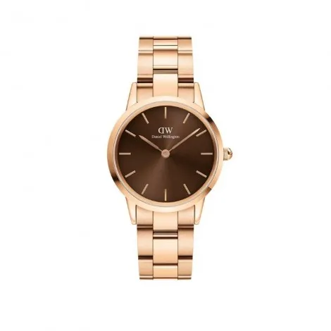 Daniel Wellington Color Dials Elementi Della Natura Orologio Iconic Link Amber Oro Rosa 40 mm DW00100460