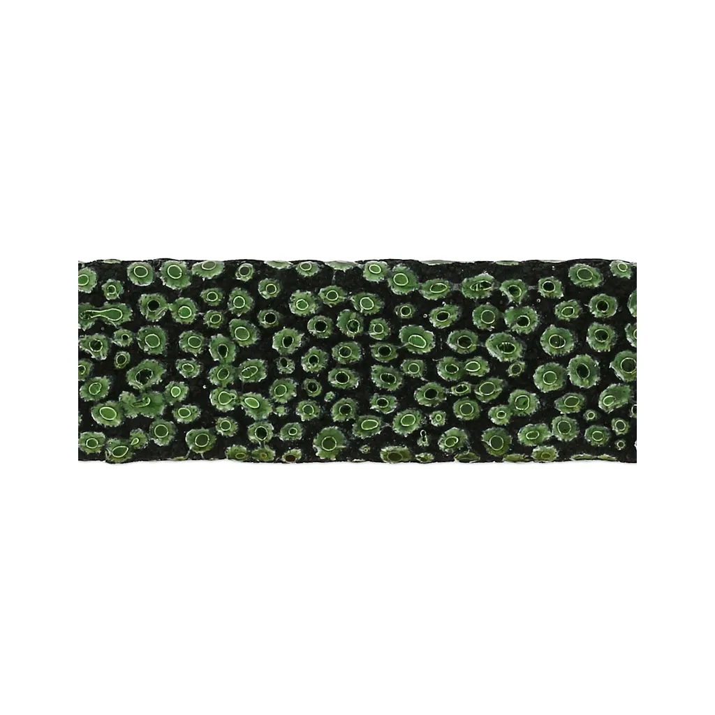 Laccetto cuoio effetto scamosciato imitazione pesce 10 mm Kaki metallizzato x 50cm