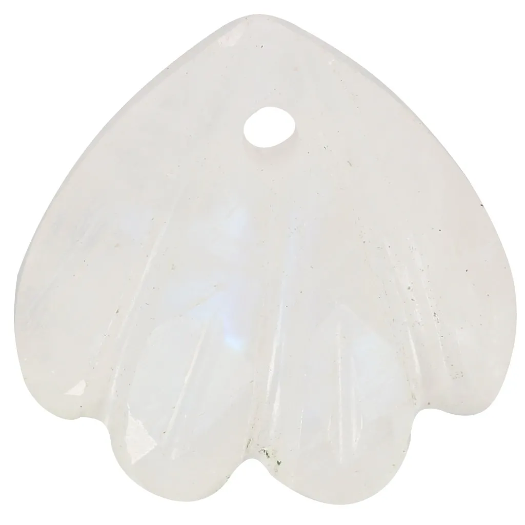 Zecchino conchiglia 12 mm - Pietra di luna x1