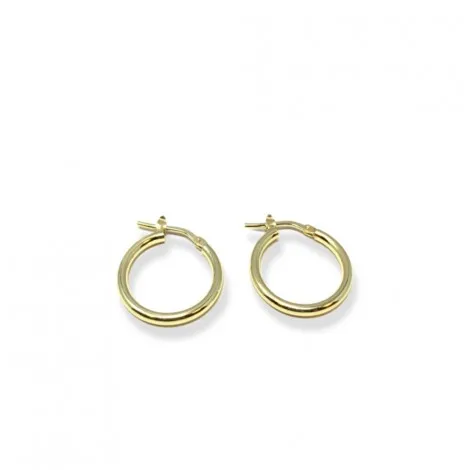 Orecchini a Cerchio piccoli 2mm Donna Raggi Argento 925 Dorato RA/005011