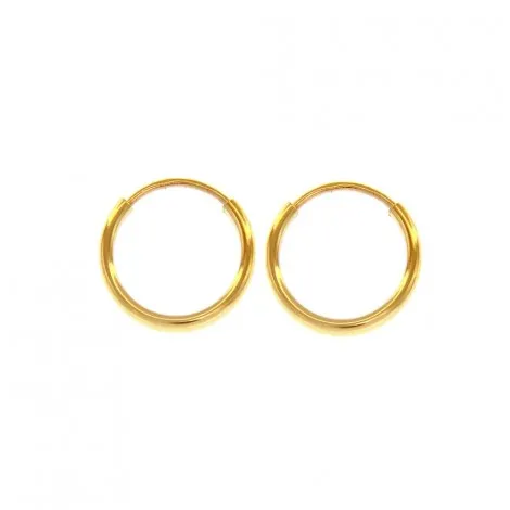 Orecchini Donna Raggi Oro Giallo 18kt Cerchi 10mm